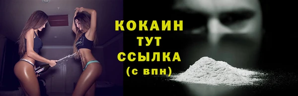 spice Арсеньев