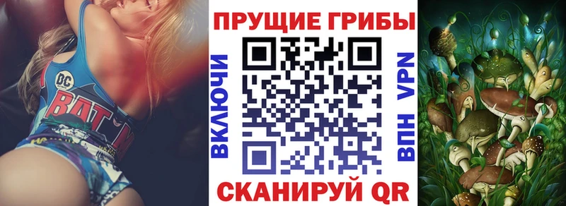 Псилоцибиновые грибы Cubensis Топки